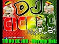 TRIBO DE JAH   MORENA RAIZ