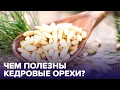 Download Lagu Почему полезно есть КЕДРОВЫЕ ОРЕХИ? Отвечает диетолог