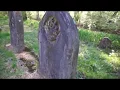 Pine Knot Cemetery - Will Government Take Alvira s Cemetery
