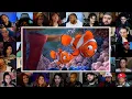 Finally Marlin Trust Nemo Ending Scene Reaction Mashup