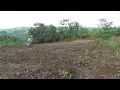 Download Lagu ASMR || Nikmatnya hidup di kebun Kerja ditemani suara Kicau burung || NGOCOR CABE