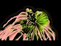 Come Together (Nox Vahn & Marsh Revisit) — Nox Vahn & Marsh