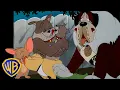 Download Lagu Tom \u0026 Jerry | Best of Dogs! 🐶❤️ | Animals Month | Classic Cartoon Compilation | @wbkids​