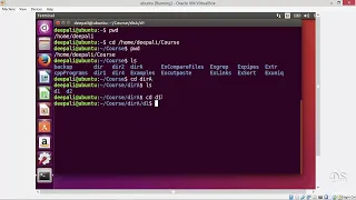 Linux Command Line Bash Shell Scripting AWK SED on Linux - Changing Directories mp4