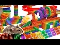 Download Lagu DIY - Build Fantastic Maze For Hamsters Pet From Magnetic Balls (Satisfying) - Magnet Balls