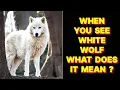WHEN YOU SEE A WHITE WOLF WHAT DOES IT MEAN