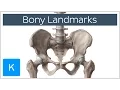 How to Memorize Bony Landmarks Quickly and Easily - Human Anatomy Kenhub