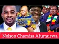 Nelson Chamisa Afumurwa 😂 