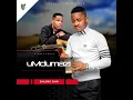 Zihlobo zami