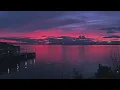 Download Lagu School rooftop + Bird songs (1 hour loop) Nostalgic sunrise