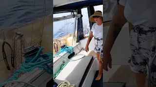 No bloody wind sailing near the equator.  #sailing #sulawesi #boat