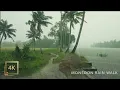 Download Lagu Refreshing Monsoon Rain Walk in a Beautiful Village of Kerala | ASMR Rain Sounds for Deep Sleep
