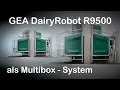 Download Lagu Betrieb Lechner, Viehdorf, NÖ  mit GEA AMS  Multibox-System