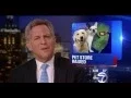 Pet store owner arrested for selling sick puppies