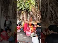 Download Lagu bargdahi Puja #puja #bhakti #bargarh #share #reels #comment #like #virajactor #shakti #shorts