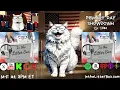 PRIMARY DAY SHOWDOWN In the Litter Box w Jewels Catturd - Ep 1080