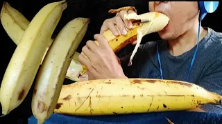  asmr biggest banana in the world asmr qu chu i l n nh t th gi i