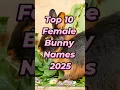 Download Lagu Top 10 Female Bunny Names 2025 🐰💖 | Cute Girl Rabbit Name Ideas! #shorts #bunnynames #petnames