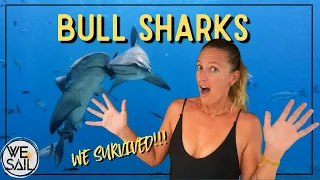 We Dove with BULL SHARKS in Fiji… Here’s What Happened