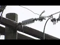 CPS Energy Most customers subject to rotating outages as winter weather continues