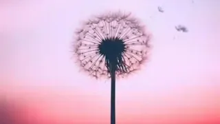 بلوچ شاعر لطیف براهویی زنجیر طلایی تیت 