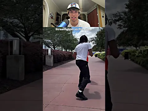 Streetfighter vs Pro Boxer