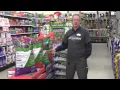 4-Step Lawn Program