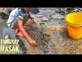 Download Lagu Puaaaanas Jepreett,Catch and Cook!!