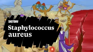 Learn about Staphylococcus aureus - Sketchy Medical USMLE Step 1