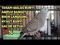 Perkutut Lokal Gacor Suara Super Kristal - Pancingan Malas Bunyi  (99%AMPUH BANGET)
