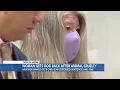 Dog breeder sentenced in animal cruelty case