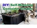 DIY Self-Watering Container Garden