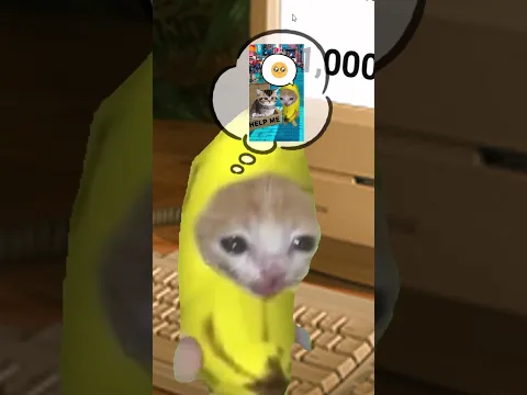 The Story of Banana Cat😹🍌｜The Road To One Million🏃‍♂️