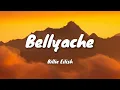 Download Lagu Bellyache --- Billie Eilish (lyrics)