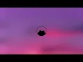 Mimi Webb - 24/5 (Lyrics)