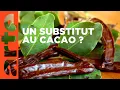 Download Lagu Le caroubier, l'or noir de la Crète | GEO Reportage | ARTE Family