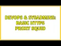 DevOps SysAdmins Basic https proxy squid