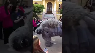 عيني جت علي سنيوره اكسبلور ترند الغوريلا Explore ضحك فولو Rap مهرجان تيك توك 