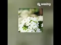 Download Lagu oni purnama-all for love by sting, bryan adam @songcover3983