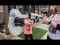 Lagu Bazooka Bubble Machine (As Seen on TikTok!)