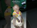 Download Lagu my dress so pretty!#fyp #littlemonkey #babymonkey #monkey #fyp