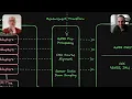 Time Synchronization in Systems Positioning Engine Deep Dive Part 1