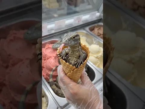 Surprise Ice Cream 🍦 Thoc Family #shorts #funny