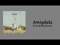 Download Lagu Amigdala - Di Ambang Karam (lirik)