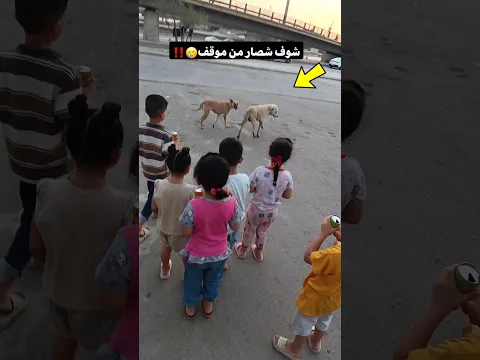 شوف شصار من موقف هنا🙏💔 #funny #العراق #مصر #الكويت #shortsfeed #المغرب #ترند #food  #السعودية