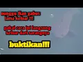 Download Lagu Ikan gabus lama keluar dari sarang!! Pakai cara ini..siulan pemanggil ikan gabus ke permukaan.