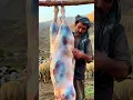 Download Lagu Authentic afghani pulao recipe on mountain| Kabuli pulao | Cooking Mutton pulao | Mutton Recipes
