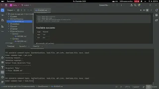 Client and Server on Java with Netty