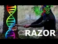 Making a Restriction Enzyme DNA Cutter in Python