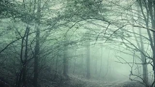 تأخر إجابة الدعاء هاني حمدي 